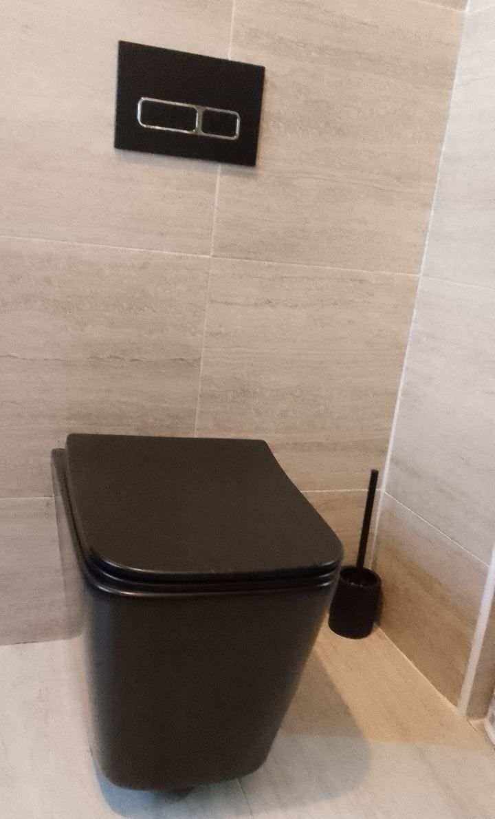 Matt black wall-hung toilet with a chrome dual-flush plate above it